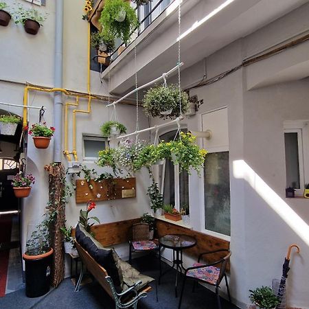 Studio Unikat Braşov Eksteriør billede